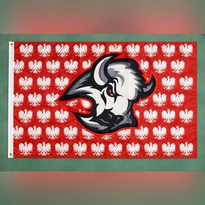 Buffalo Sabres Goat Head Polish Flag 3'x5' Printed Both Sides with Grommets